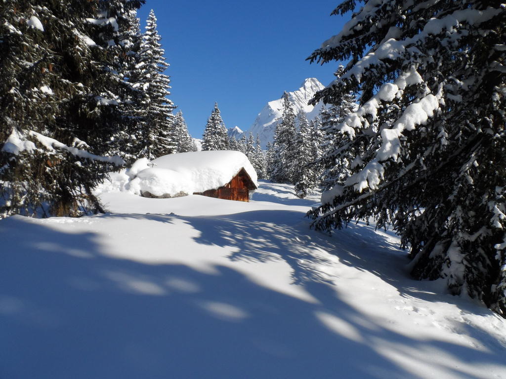 Haus Brunneck Daire Warth  Dış mekan fotoğraf